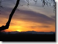 stoj� za to si p�ivstat