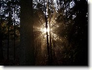 Probuzen�............