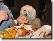 Ku��tko, to j� r�d!!!