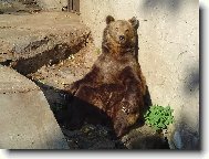 Pohoda kl�dek tab��ek