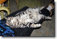 Zase jsem u t� televize usnul!