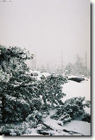 Kru�n� hory v Sasku