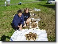 Houba�sk� nad�lka jednoho dne