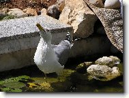 kdy� je ��ze�