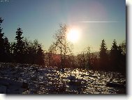 Zimn� slun��ko