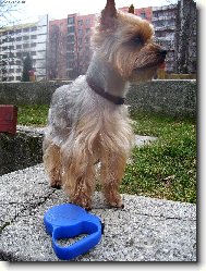 �ek�m............po��d �ek�m...........