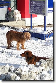 jsme na tom stejn�\.\.\.