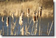 St��ovick� vrch