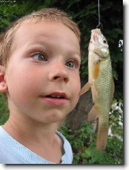 Spl� mi p��n�