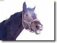 J��, copak dnes bude k ob�du?