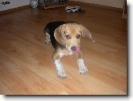 M�am