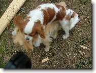 Kdy� si za�nem hr�t...