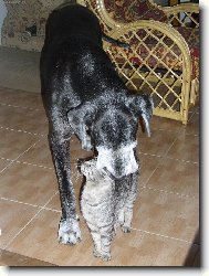 jsme oba �ediv�