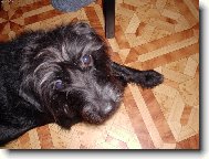 Sam�k:)