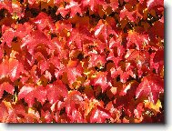 tak takovouhle m�me fas�du