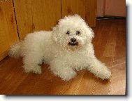 kdy zas budem lumpa�it?