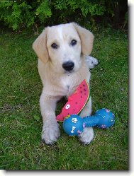 To jsou moje hra�ky.