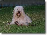 Co to ��k�? �patn� t� sly��m,jsem moc chlupat�!!!