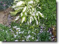 Po bou�ce s krupobit�m