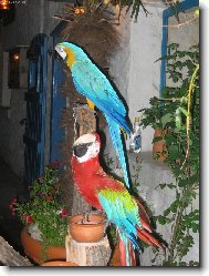 Jsme nebezpe�n�!