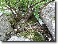 �IVOT V MRTV�M SEV�EN�