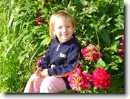 �erven� pivo�ky