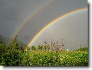 dvojit� d�t v slune�n�m jase