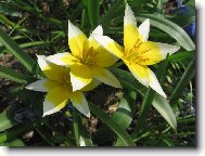 jarn� probouzen�