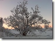 Kr�sa uhl��sk�ho vrchu 8.1.2006