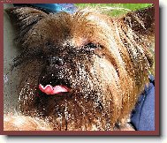 NECHT�JTE V�D�T, CO SI MYSL�M ...