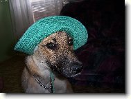 R��enka je opravdu d�ma