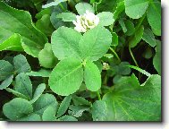 �ty�i l�stky pro �t�st�