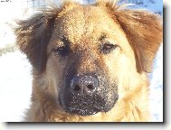 Tak to jsem j�, KUK!!! :-)