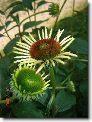 Jsme jak dv� dvoj��tka! :)