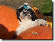 M�sto p�esn� pro mn�!