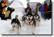 �eskou Kanadou 200