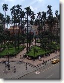 Cali